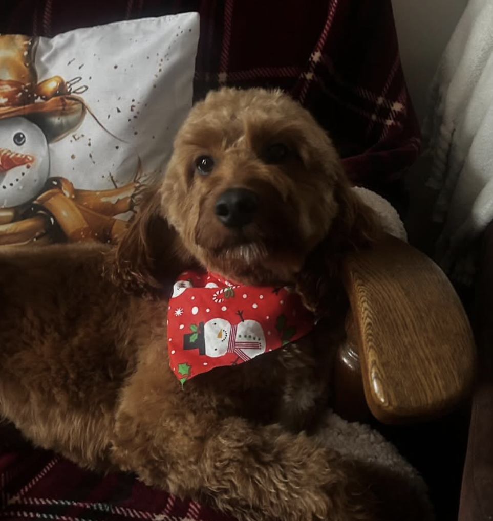 Josh Blake - Founding Partner - JacJo